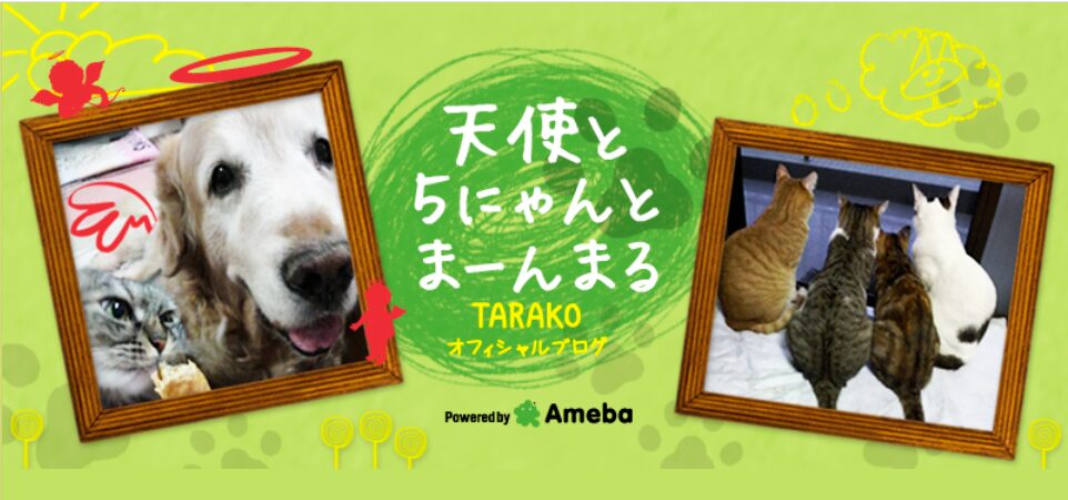 TARAKOさん