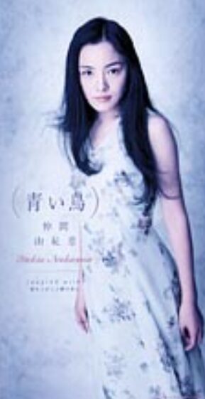 仲間由紀恵さん